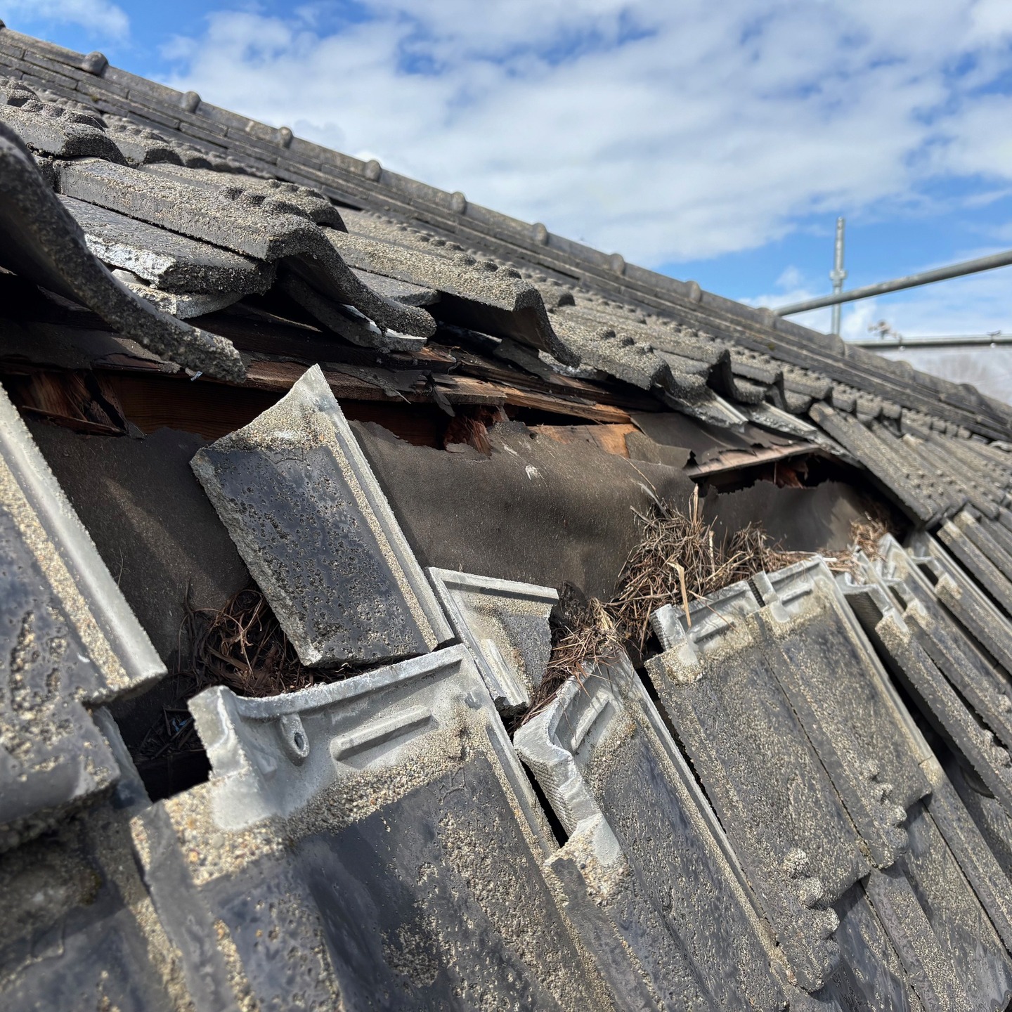 今冬の豪雪で各地の建物で被害報告を受けて調査及び補修工事です。🕵️‍♂️
昨年以上に家屋の破損が多く寄せられました。
恐らく昨年の大雪に耐えても今冬の降り続く大雪には厳しかったかもしれません。😥
雪解けで足場も設置できる状態が増えましたのでこれから大忙しの日々です。👷‍♂️

#魚沼市
#リフォーム
#南魚沼市
#火災保険